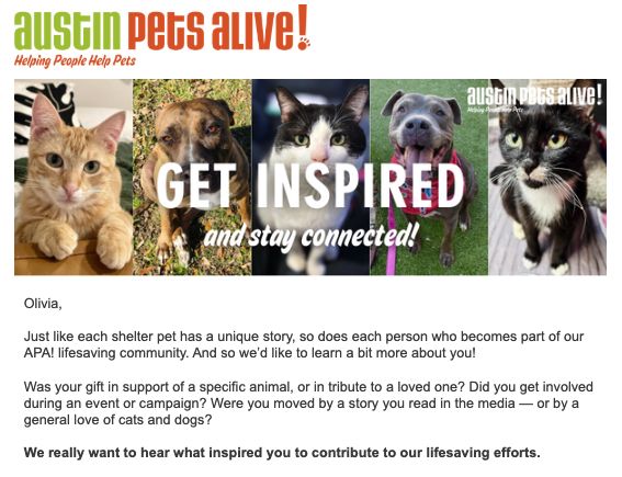 Austin Pets Alive! donor thank you letter