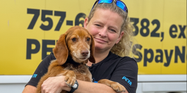 PETA Foundation header image