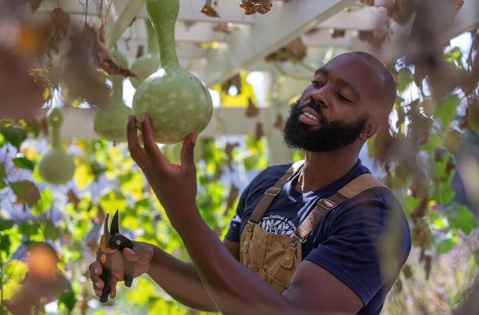 Screen-Shot-2021-05-02-at-7.44.16-PM