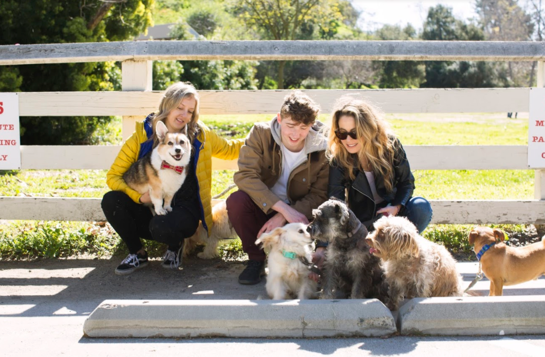 Screen-Shot-2020-05-01-at-10.58.29-AM